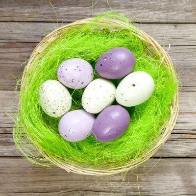 Ostern im Berchtesgadener Land - Nest