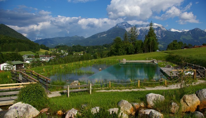 Naturschwimmteich