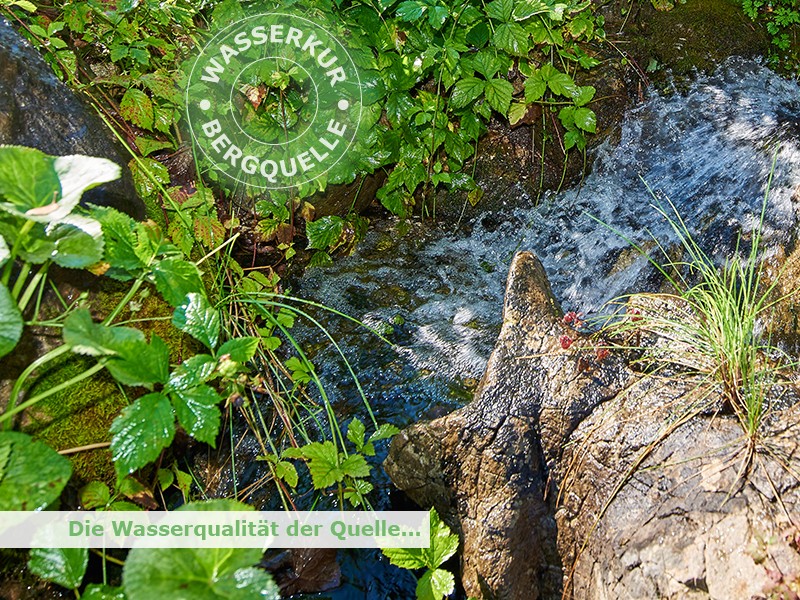 Wasserqualitt im Reissenlehen