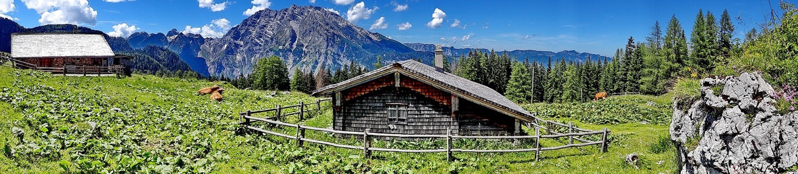 Priesenbergalm